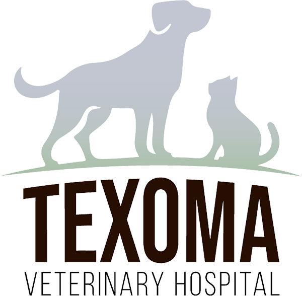 Texoma Veterinary Hospital